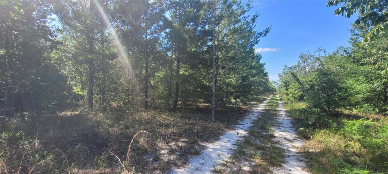 Union Way , Lee, FL 32059 Photo