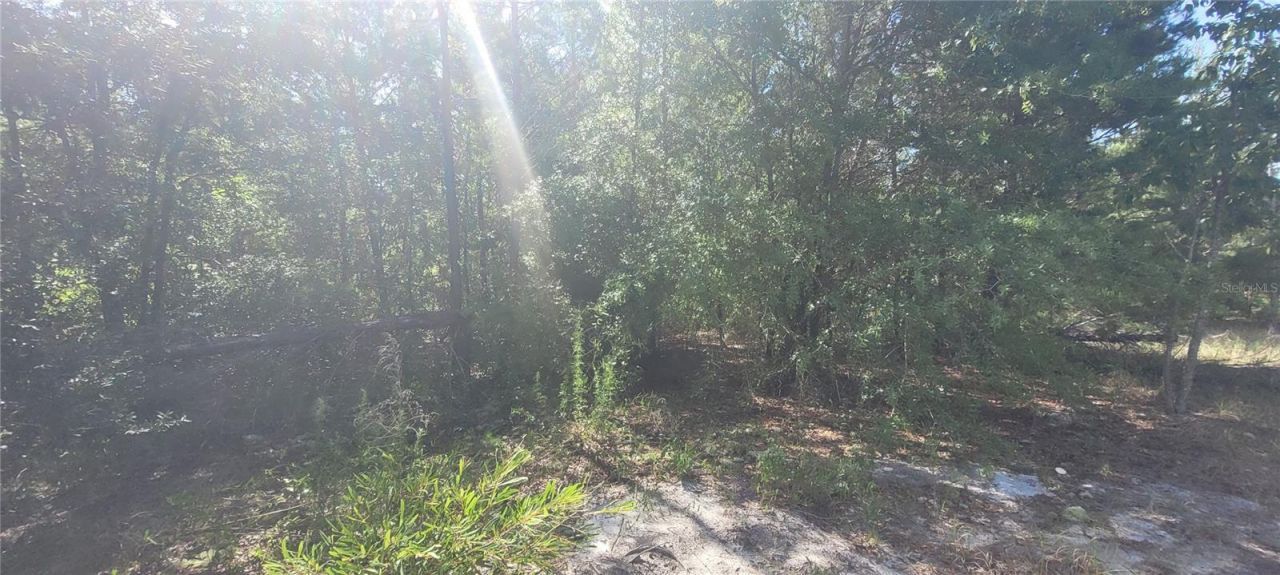 Union Way , Lee, FL 32059 Photo