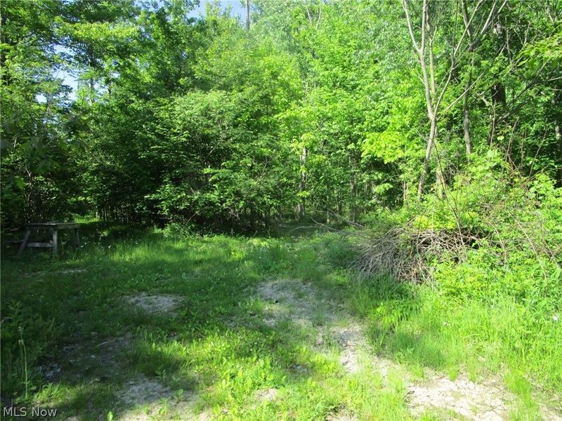 4293 Bulah Road, Jefferson, OH 44047 Photo 14