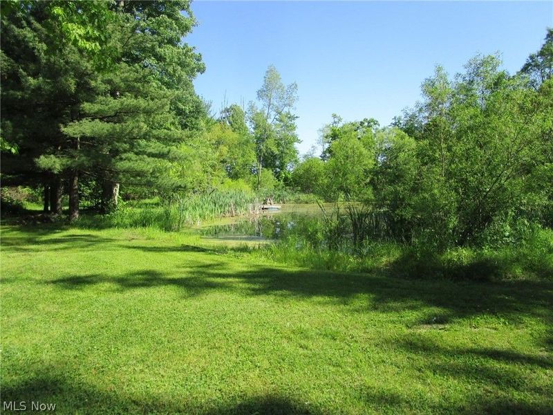 4293 Bulah Road, Jefferson, OH 44047 Photo 21