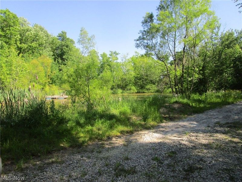4293 Bulah Road, Jefferson, OH 44047 Photo 44