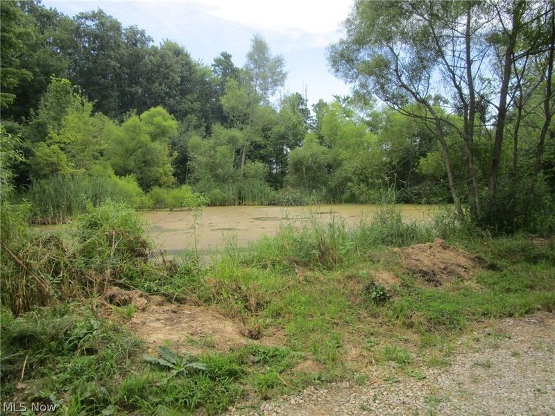 4293 Bulah Road, Jefferson, OH 44047 Photo 45