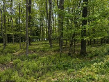 Lots 175 & 176 Laurel Circle, Terra Alta, WV 26764