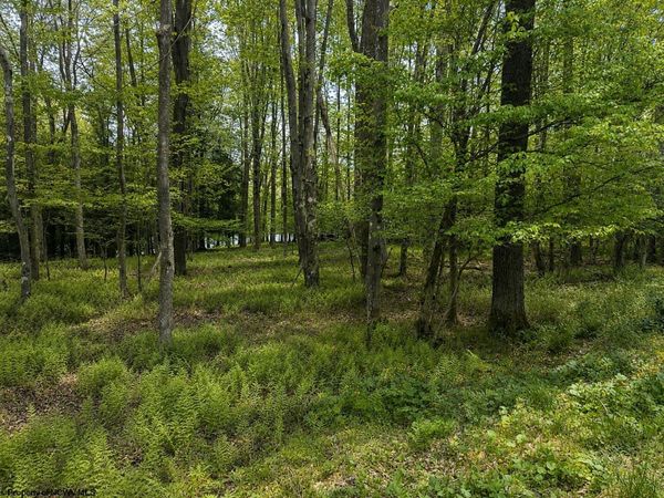 Lots 175 & 176 Laurel Circle, Terra Alta, WV 26764
