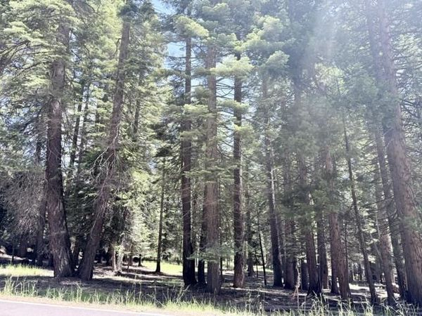 1100 Clifford Drive, Lake Almanor, CA 96137
