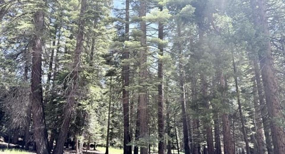 1100 Clifford Drive, Lake Almanor, CA 96137 Photo