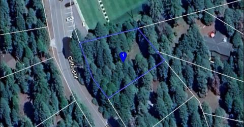 1100 Clifford Drive, Lake Almanor, CA 96137 Photo