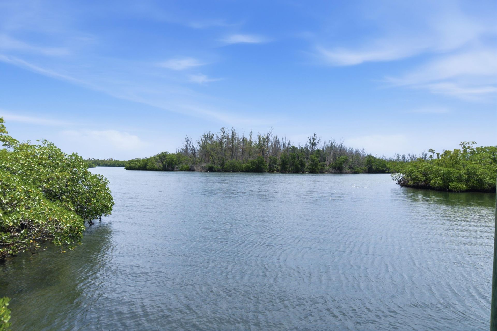 9352 SE Mystic Cove Terrace Se, Hobe Sound, FL 33455 Photo