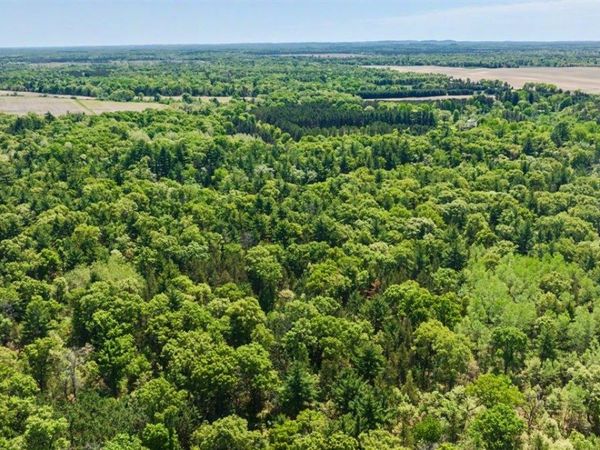 40+/- Acres Highway 13, Friendship, WI 53934