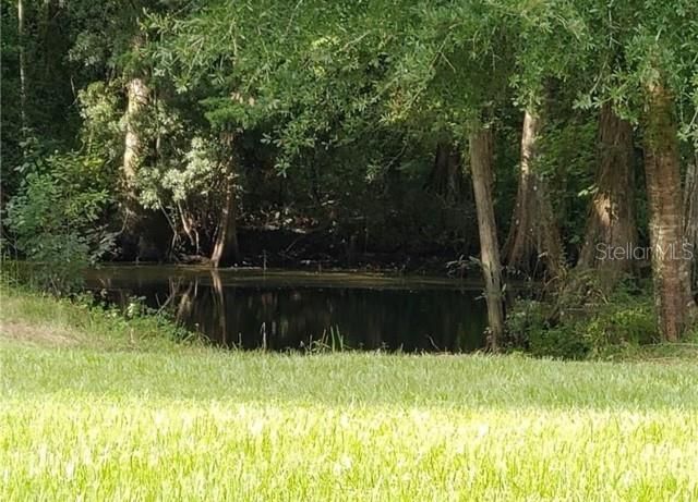 12253 E Berry Lane , Floral City, FL 34436 Photo