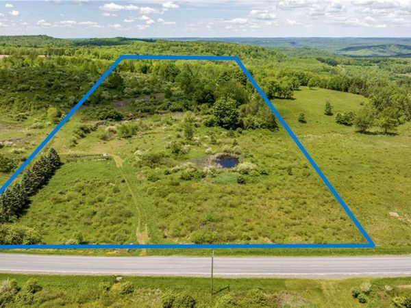 County Road 36, Guilford, NY 13780