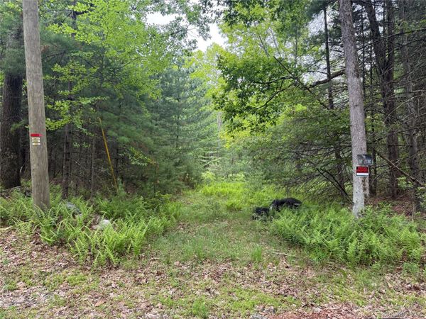 Depot Road , Wurtsboro, NY 12790