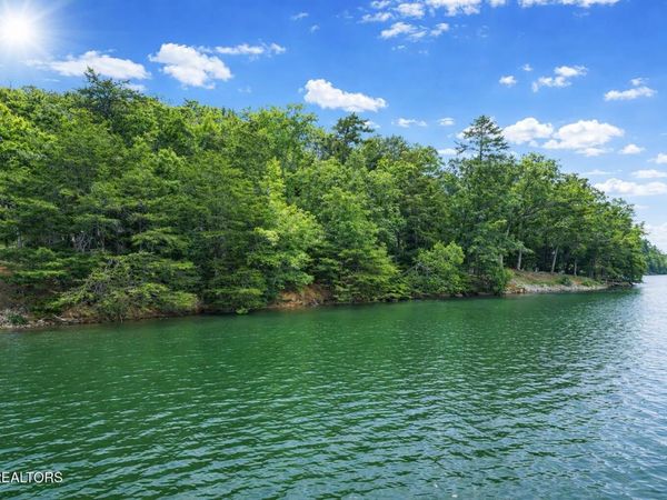 Eagle Point Drive, Rockwood, TN 37854