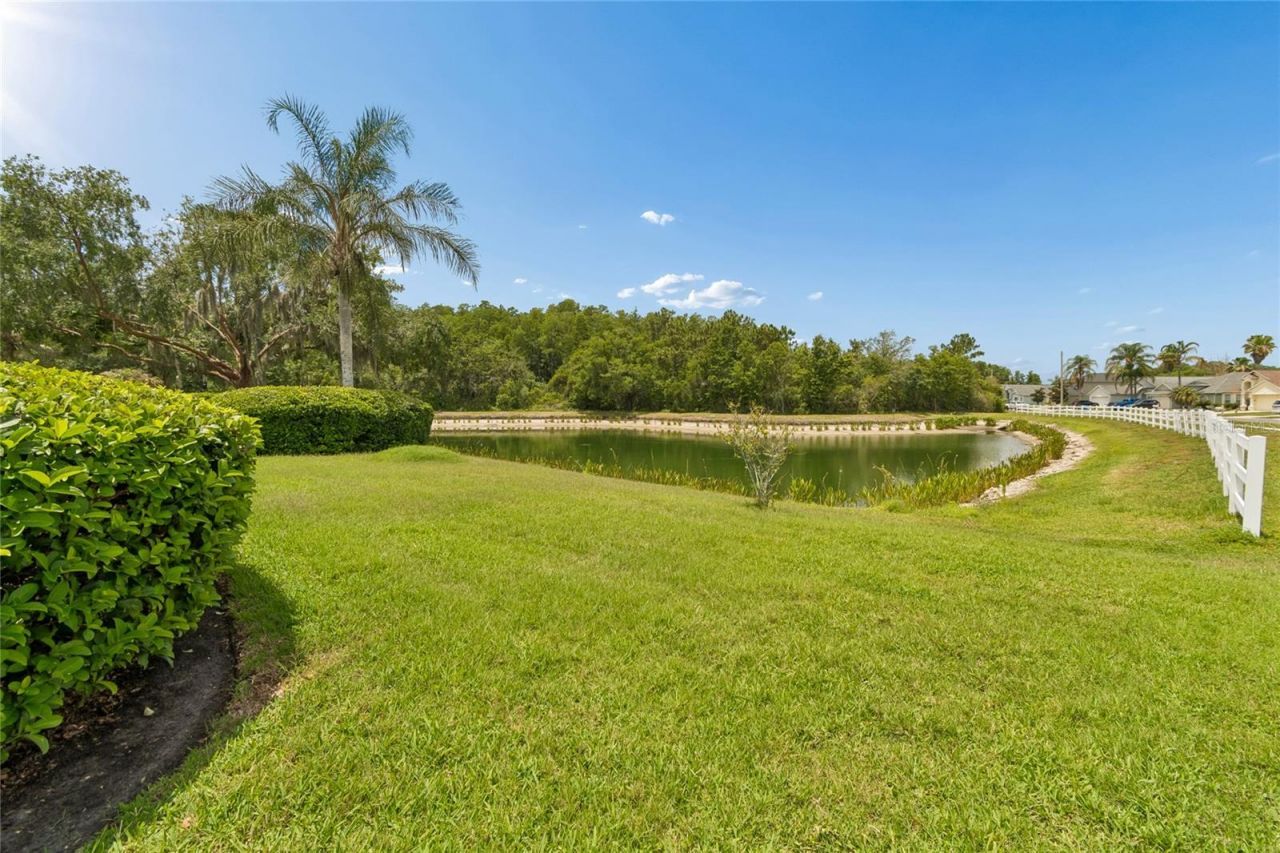 30600 Nickerson Loop , Wesley Chapel, FL 33543 Photo