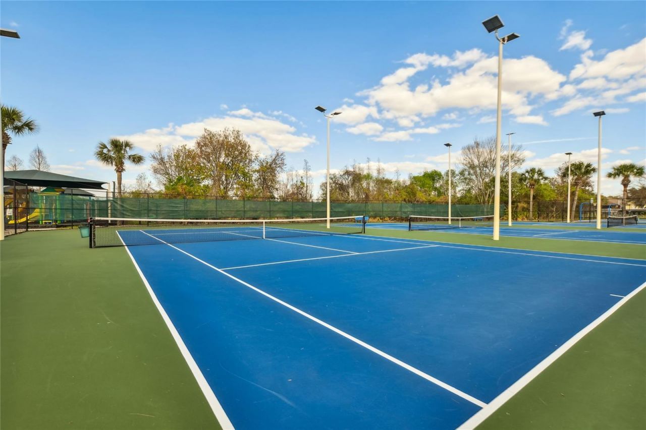 30600 Nickerson Loop , Wesley Chapel, FL 33543 Photo