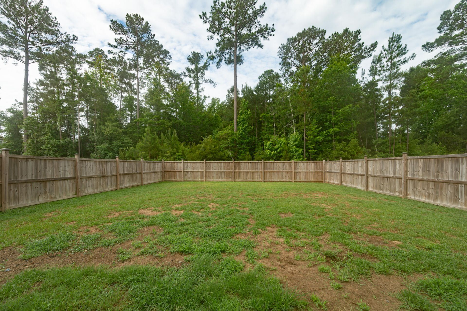 644 Silver Spruce Street Photo 23