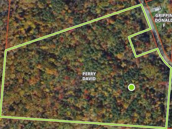 00 Straw Hill Road , Barton, NY 13734