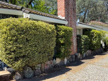 231 Boarman St, Jackson, CA 95642 Photo