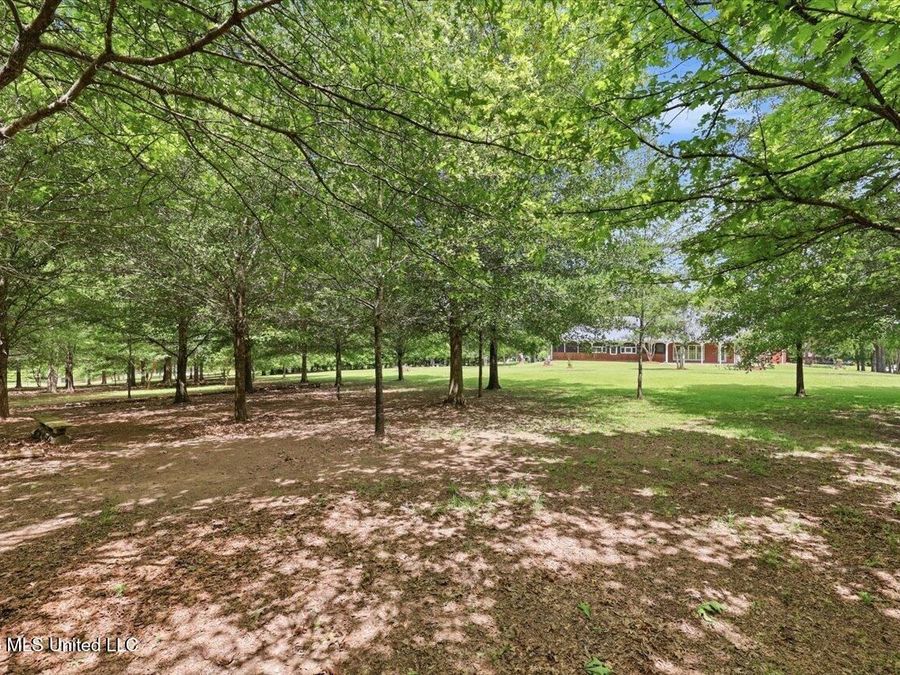 Property Image 57