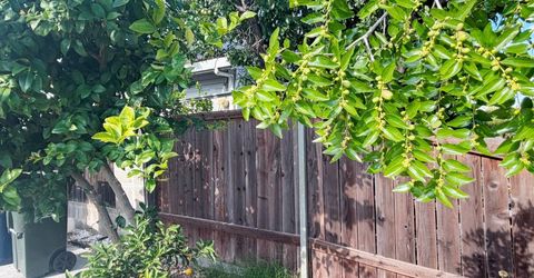 5927 Lemon Park Way, Sacramento, CA 95824 Photo