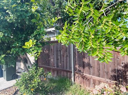 5927 Lemon Park Way, Sacramento, CA 95824 Photo