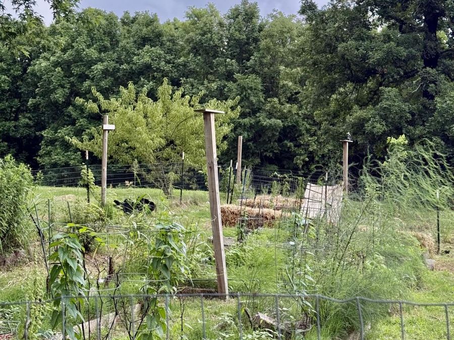 Property Image 31