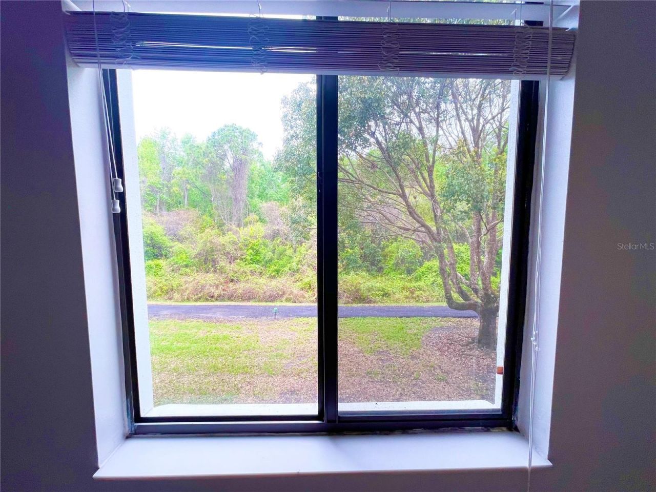 1182 Pine Ridge Circle W, Unit C-2, Tarpon Springs, FL 34688 Photo