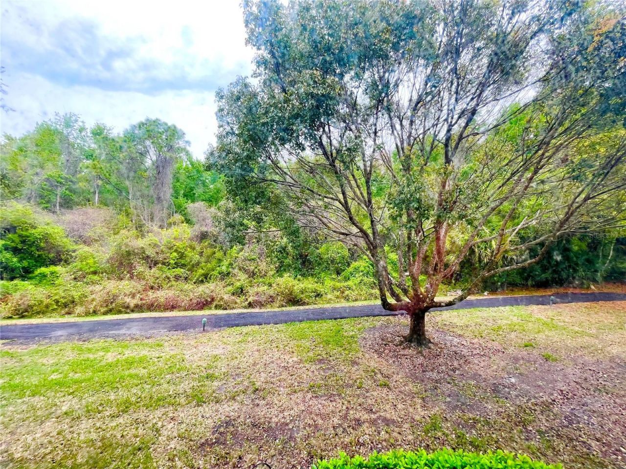 1182 Pine Ridge Circle W, Unit C-2, Tarpon Springs, FL 34688 Photo