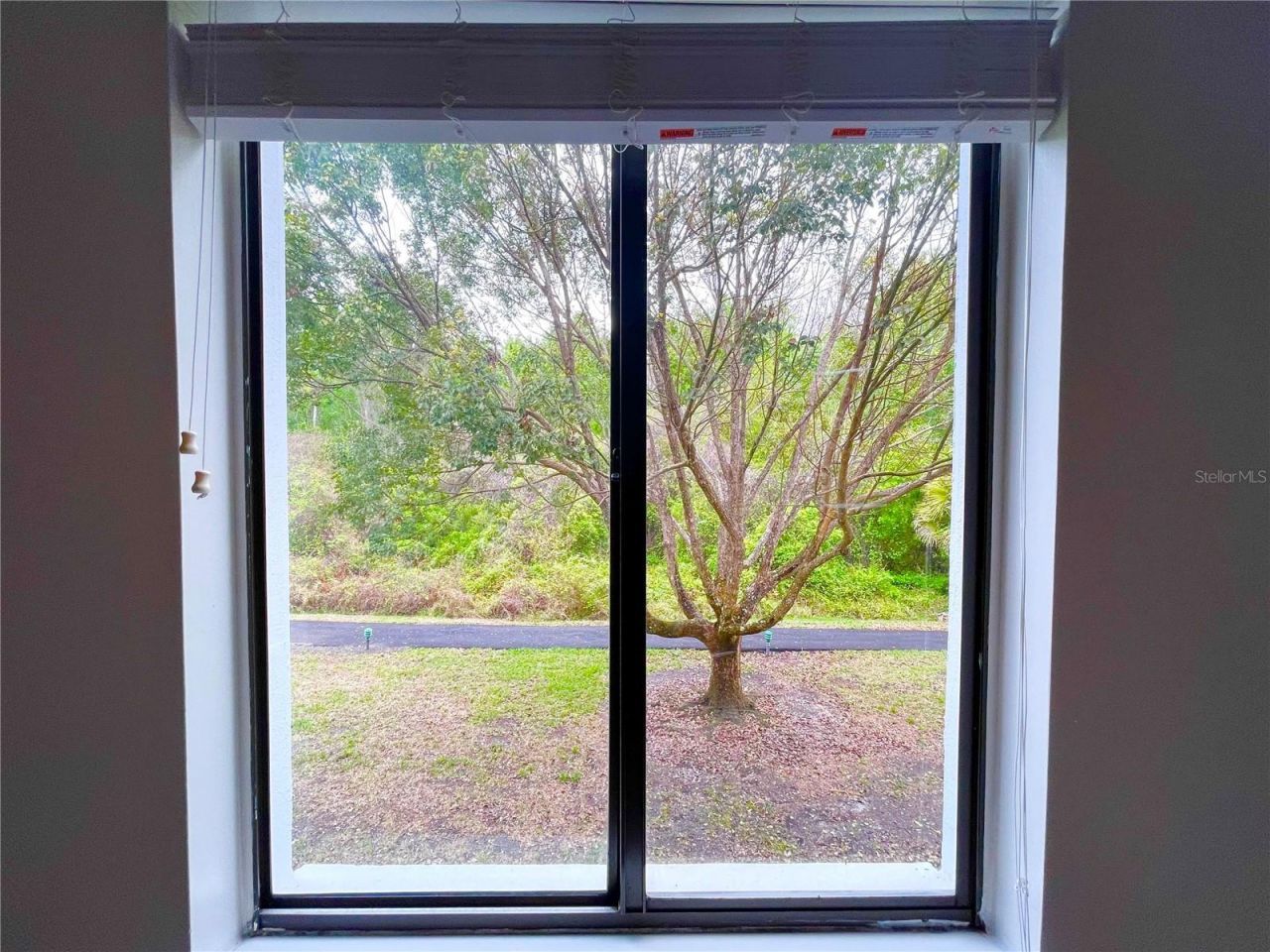 1182 Pine Ridge Circle W, Unit C-2, Tarpon Springs, FL 34688 Photo