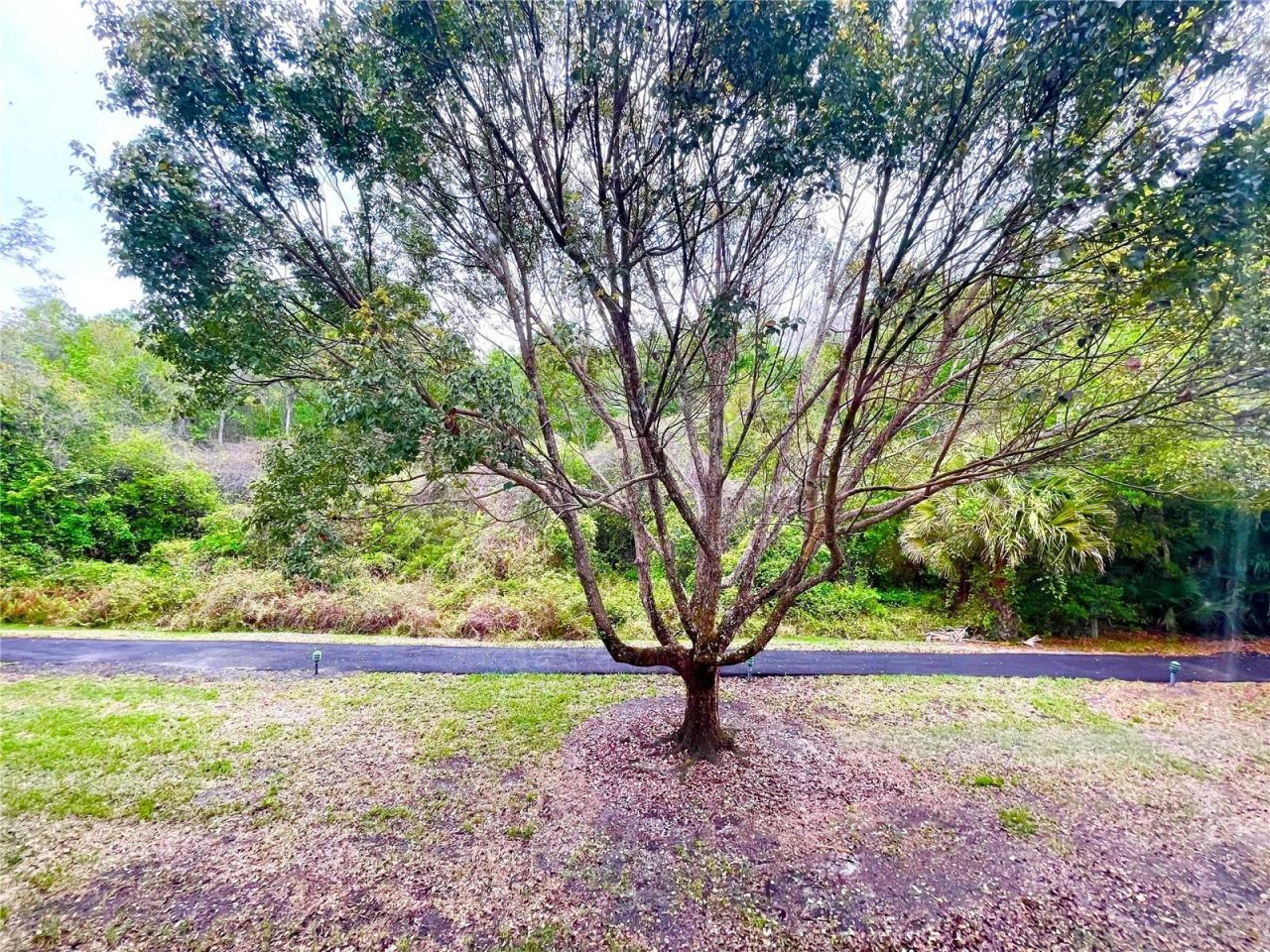 1182 Pine Ridge Circle W, Unit C-2, Tarpon Springs, FL 34688 Photo