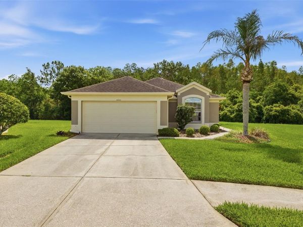 5600 SIR BARTON COURT , WESLEY CHAPEL, FL 33544