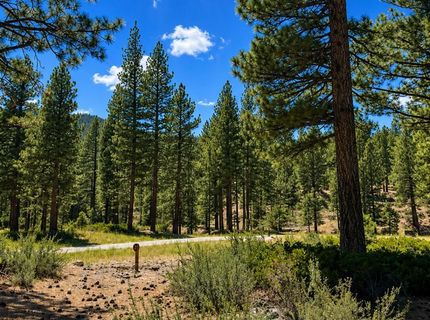 406 Rose Summit Trail, Lot #348, Carson City, NV 89705 Photo
