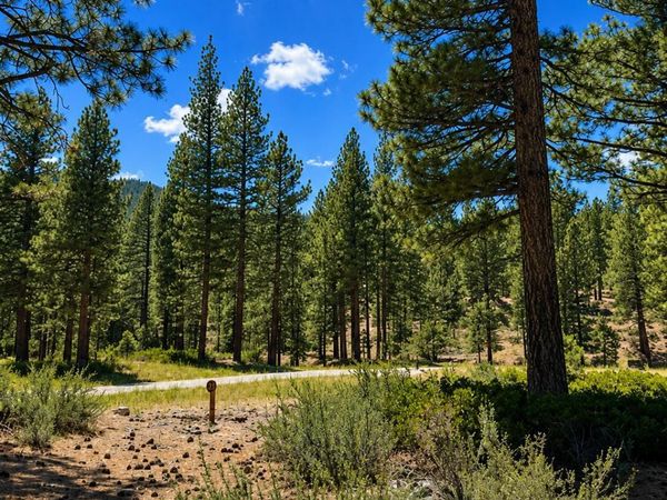406 Rose Summit Trail, Unit 348, Carson City, NV 89705