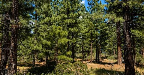 406 Rose Summit Trail, Lot #348, Carson City, NV 89705 Photo