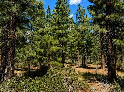406 Rose Summit Trail, Lot #348, Carson City, NV 89705 Photo