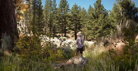 406 Rose Summit Trail, Lot #348, Carson City, NV 89705 Photo