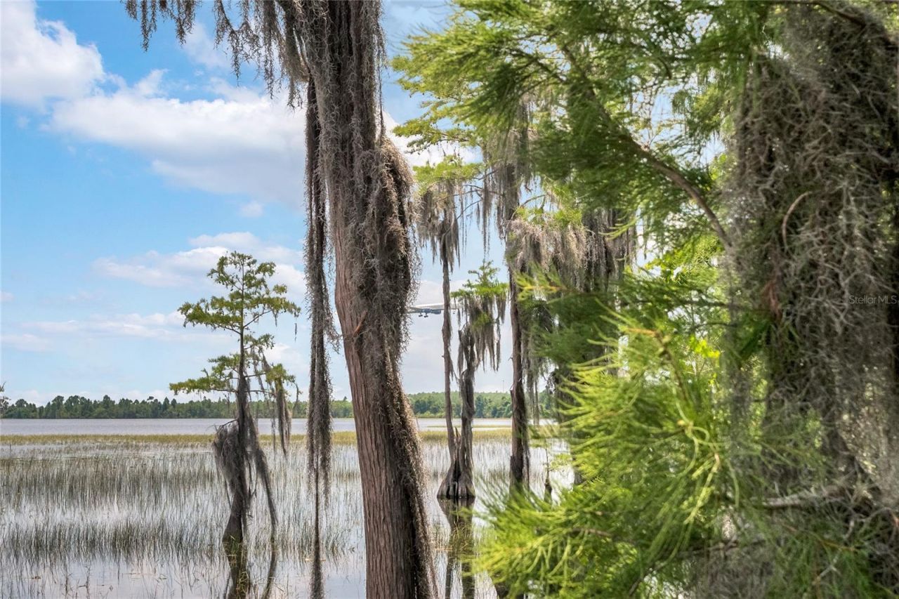 7964 Edgewood Forest Drive, Orlando, FL 32827 Photo