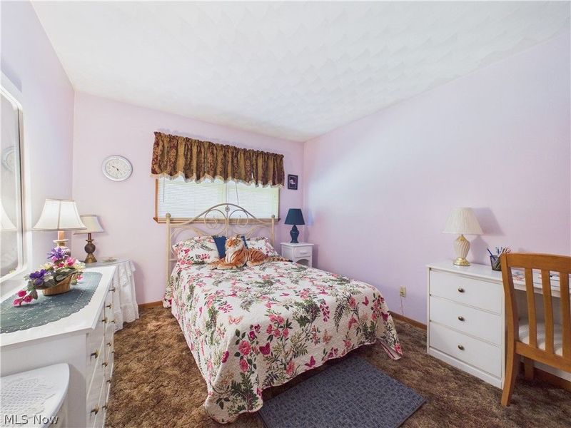 904 Lenox New Lyme Road, Jefferson, OH 44047 Photo 32