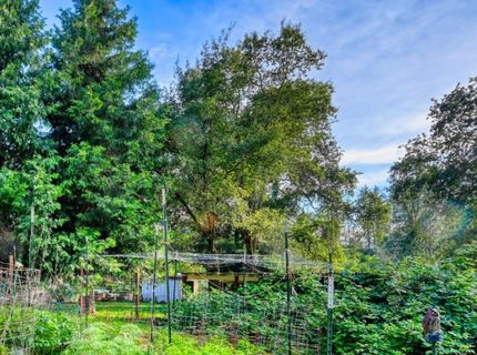 10016 E Lime Kiln Rd, Grass Valley, CA 95949 Photo