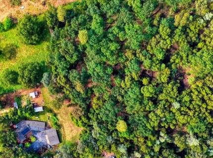 10016 E Lime Kiln Rd, Grass Valley, CA 95949 Photo