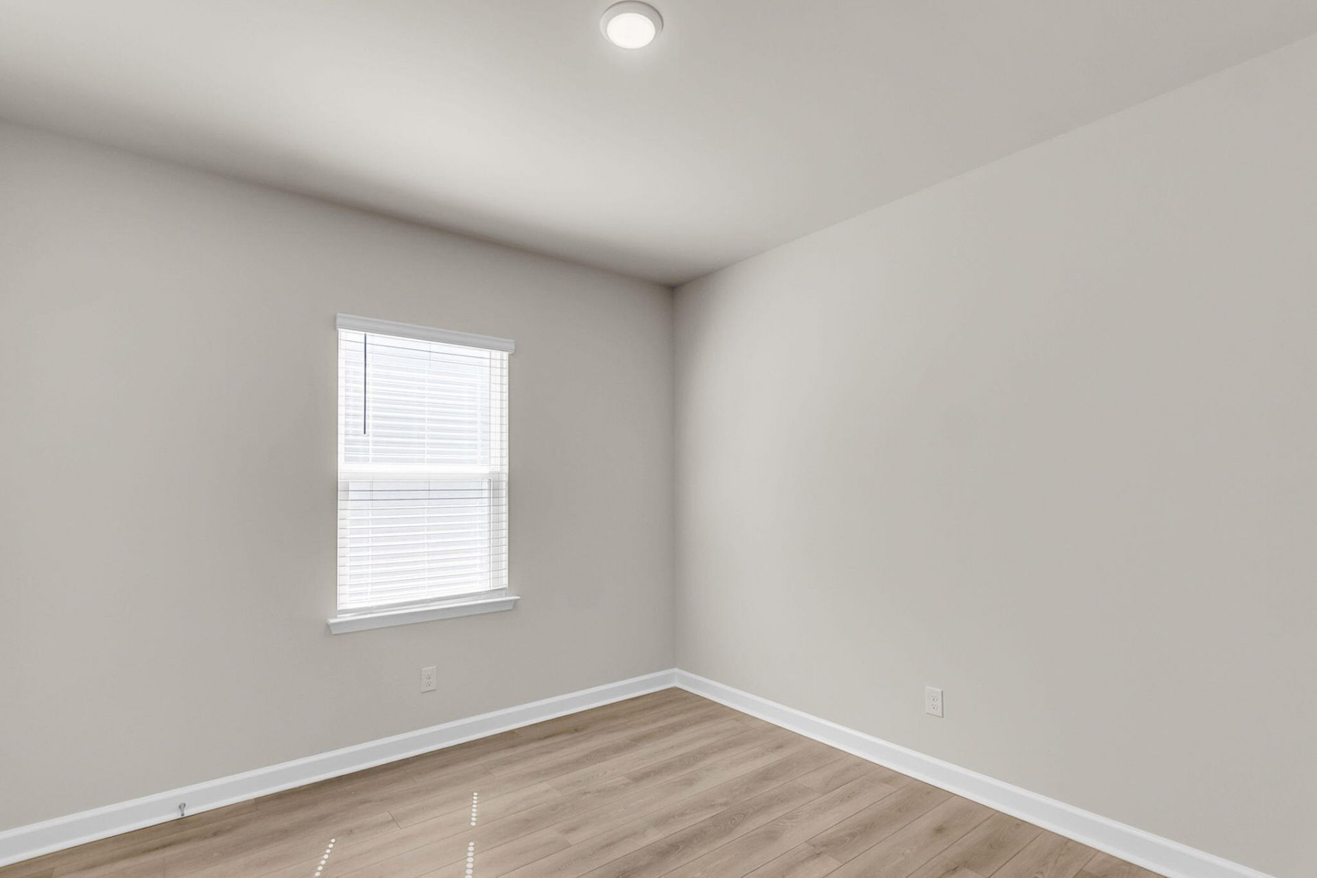 2091 Lavender Bloom Road Photo 19