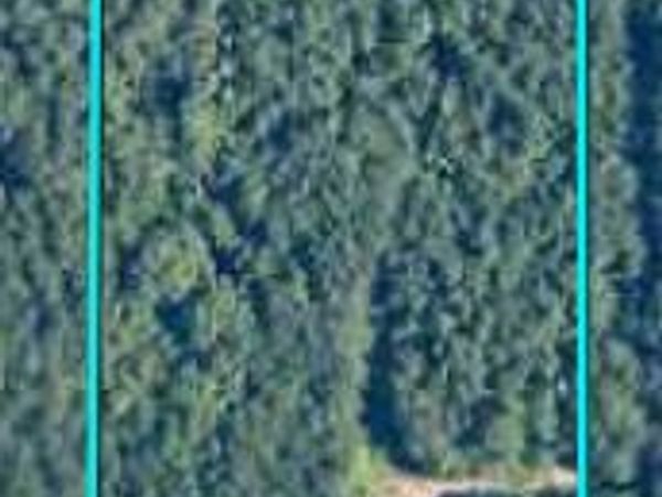 1546 Bear Creek Road, Luthersville, GA 30251