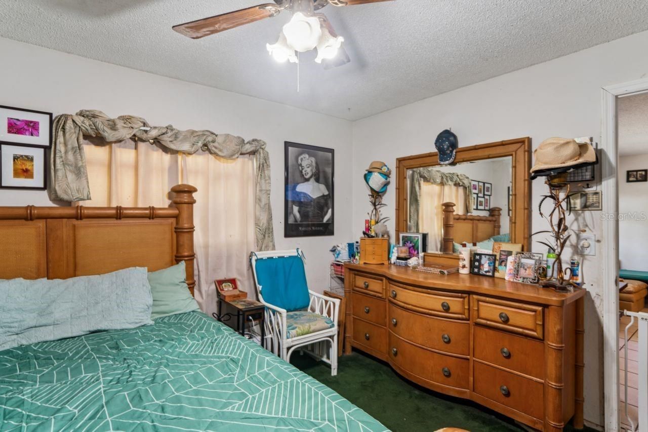 2005 Hudson Ct , Oldsmar, FL 34677 Photo