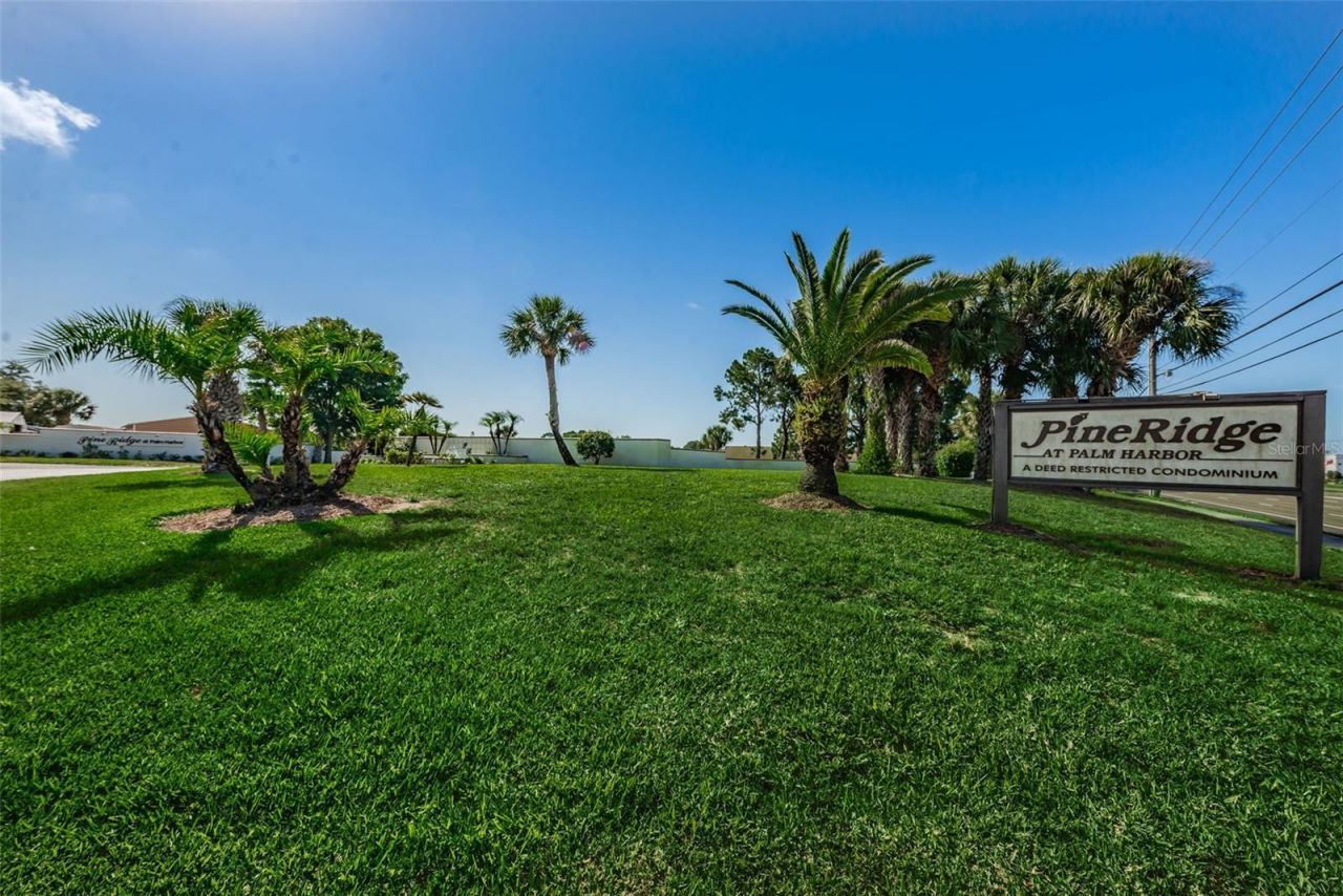 2687 Pine Ridge Way S, Unit B2, Palm Harbor, FL 34684 Photo
