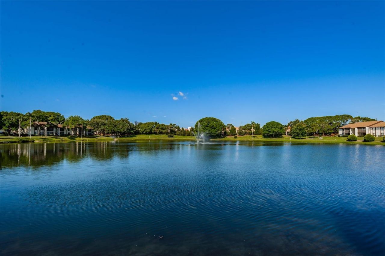 2687 Pine Ridge Way S, Unit B2, Palm Harbor, FL 34684 Photo