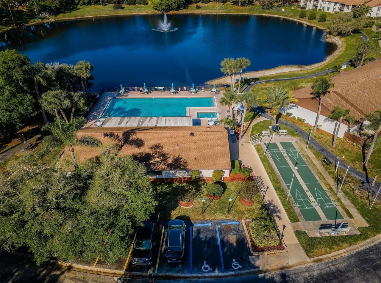 2687 Pine Ridge Way S, Unit B2, Palm Harbor, FL 34684 Photo