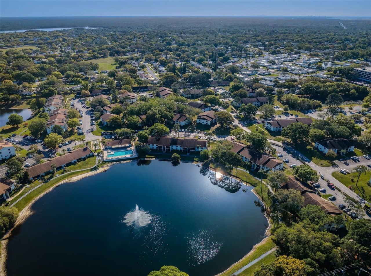2687 Pine Ridge Way S, Unit B2, Palm Harbor, FL 34684 Photo