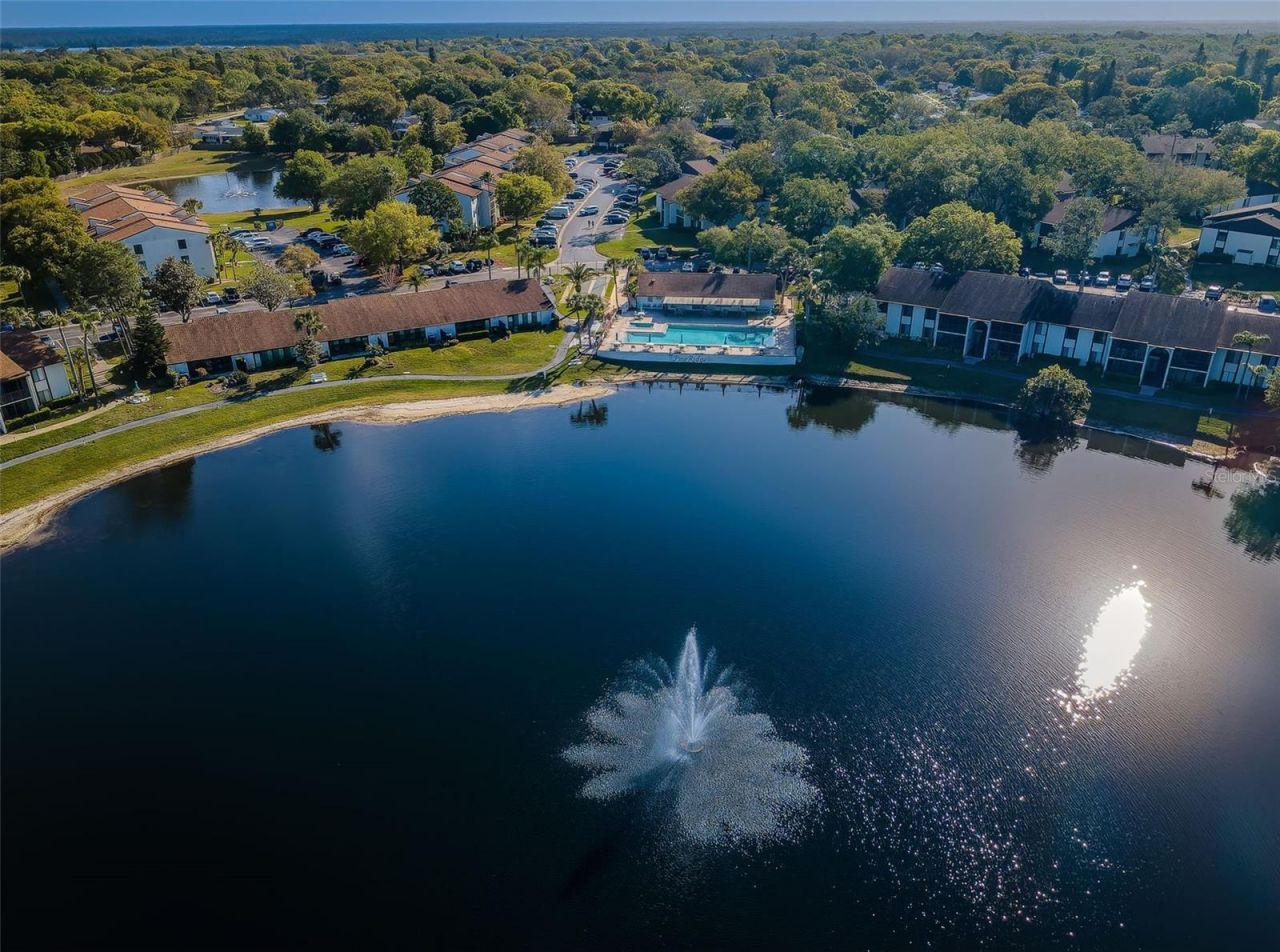 2687 Pine Ridge Way S, Unit B2, Palm Harbor, FL 34684 Photo