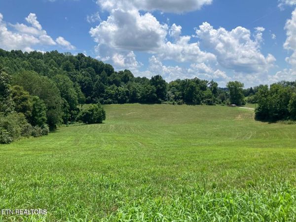 1502 Harmon Rd, New Tazewell, TN 37825