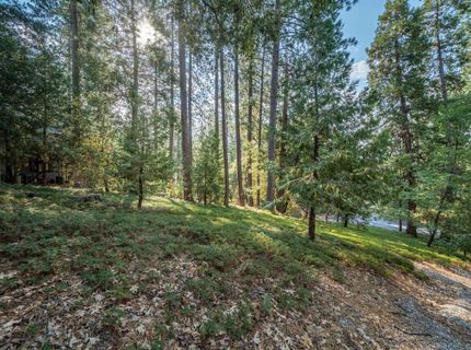51 Canterwood Ln, Murphys, CA 95247 Photo